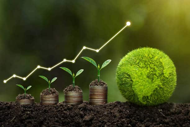 Croissance durable et économique